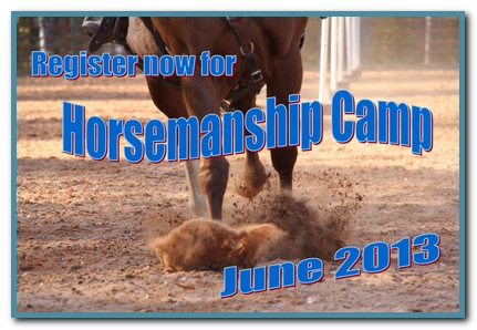 Learn more about summer horse camp.